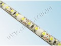LED лента 3528/120 герметичная (IP65) standart